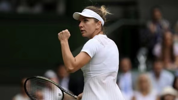 制住了黄蜂 制住了黄蜂